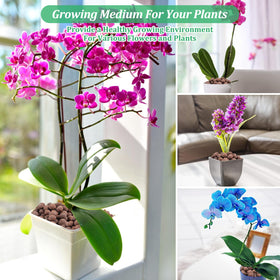 Riare grow media suits orchids, succulents, cacti, and olive trees for healthy containers.