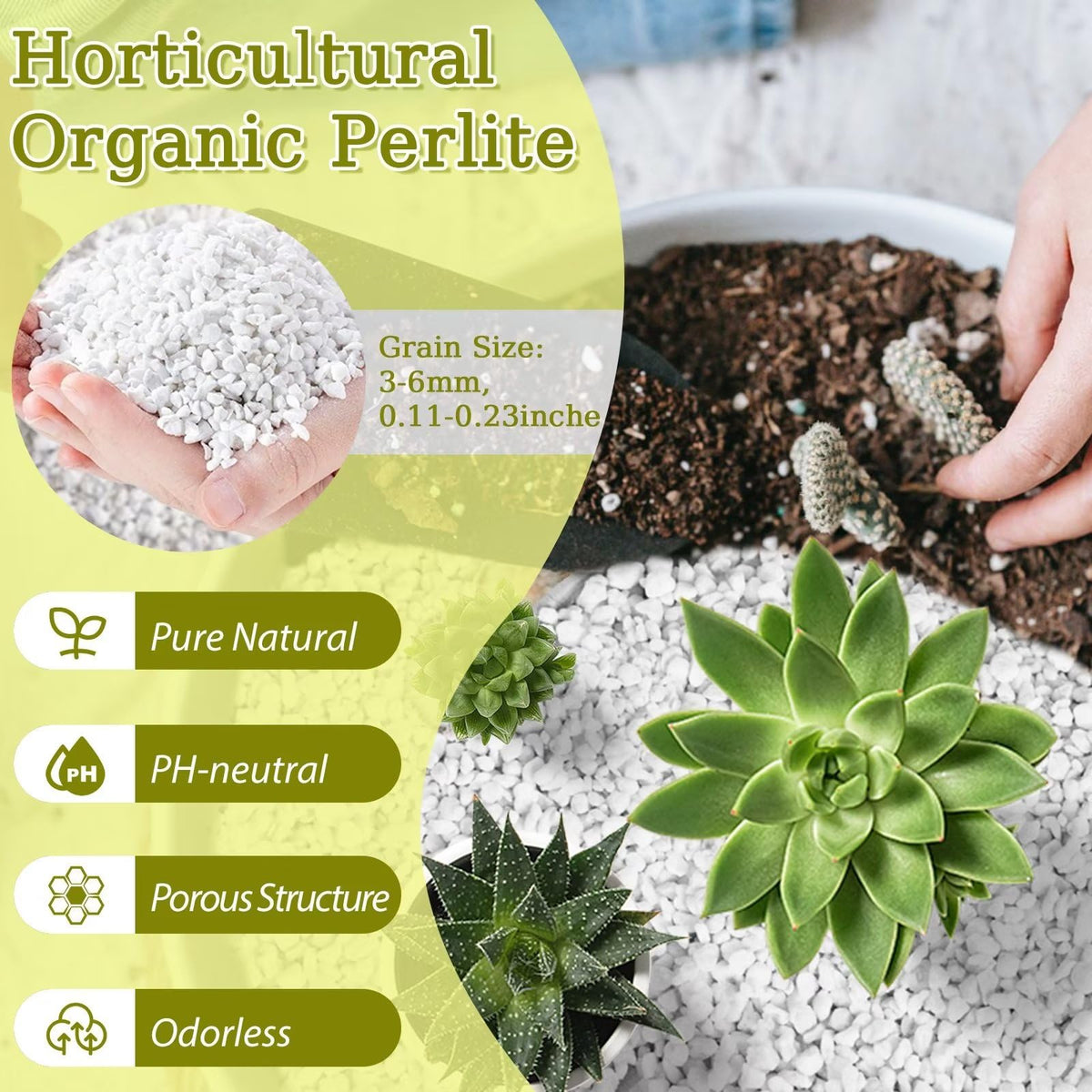 Riare horticultural perlite in a potting mix enhances porosity for roots