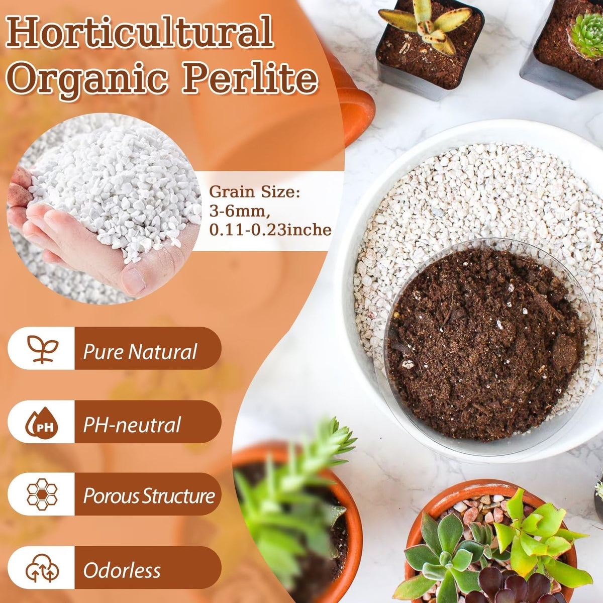 Riare horticultural perlite close-up shows porous texture enhancing drainage.