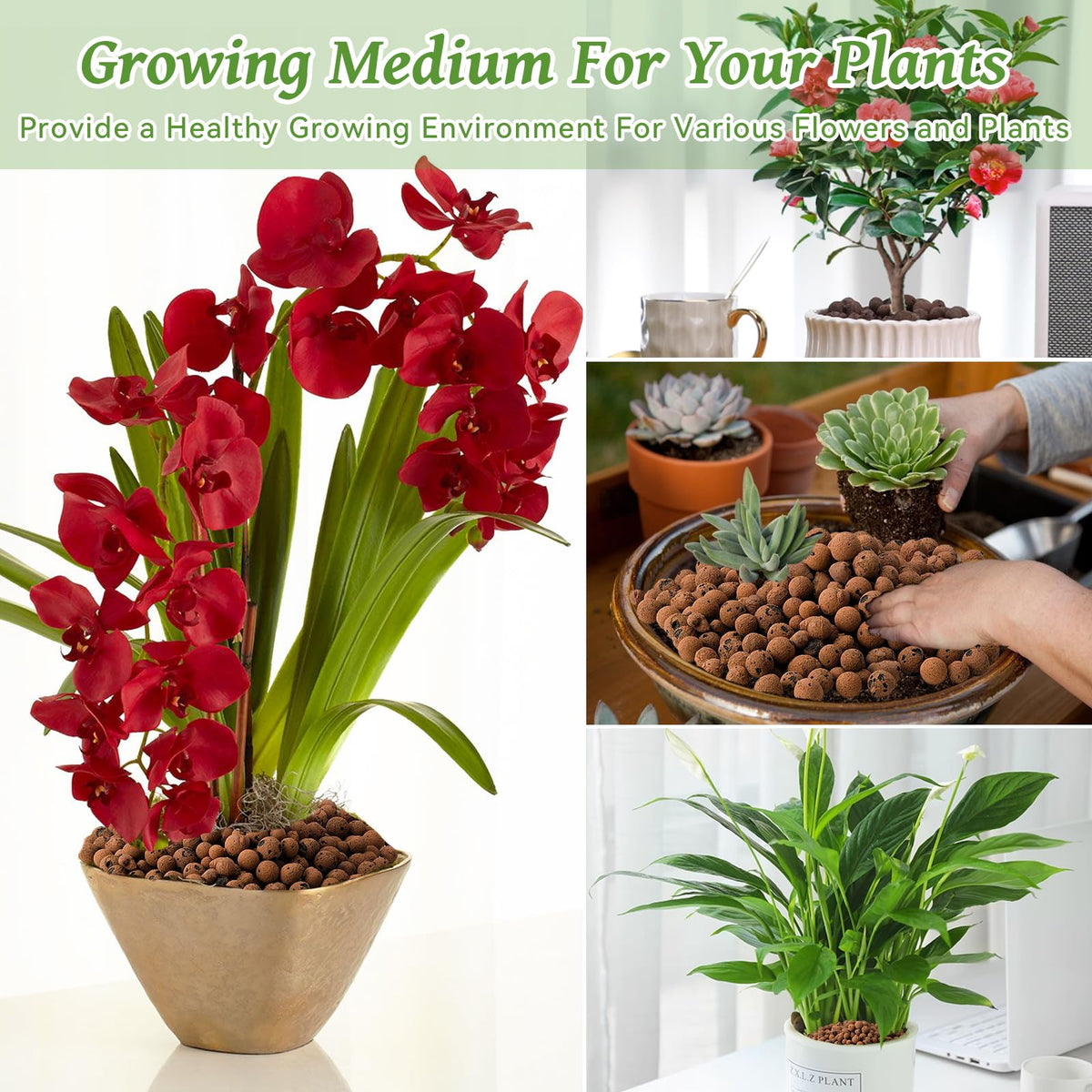 Riare hydroponics and aquaponics substrate for robust growth