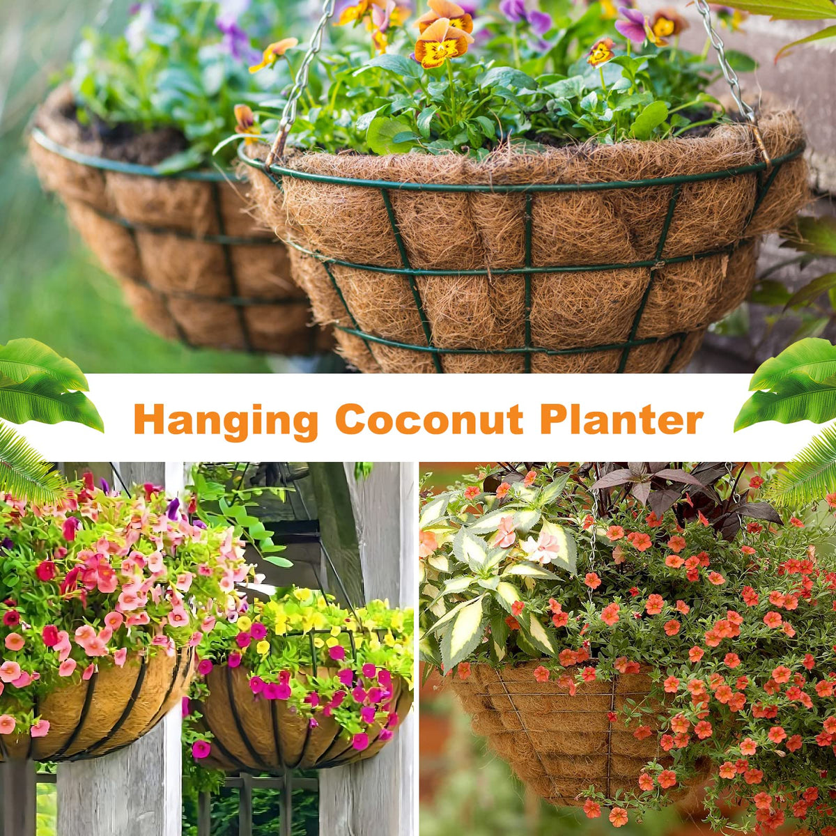 Riare 12-inch coco liners used in hanging baskets and window boxes.