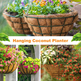 Riare 12-inch coco liners used in hanging baskets and window boxes.
