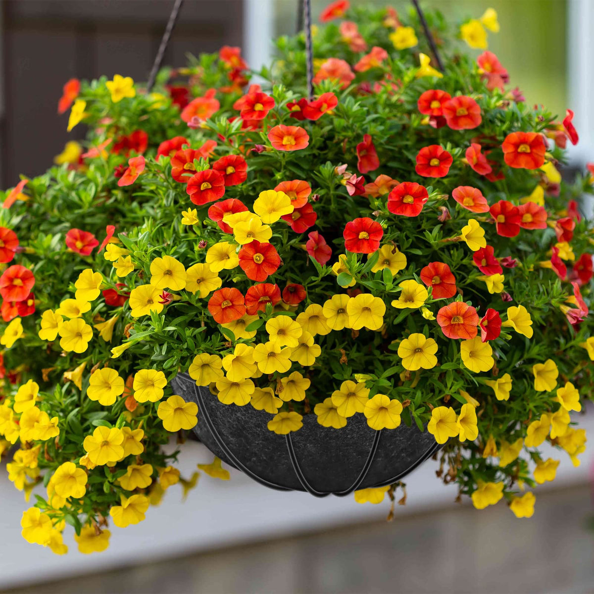 Riare indoor-outdoor decor liner pairs with planters for stylish setups.
