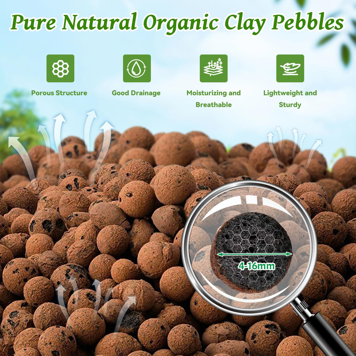 Riare leca balls provide drainage and root aeration