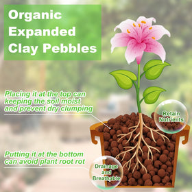Riare Leca pebbles in a hydroponics setup demonstrating drainage and moisture control