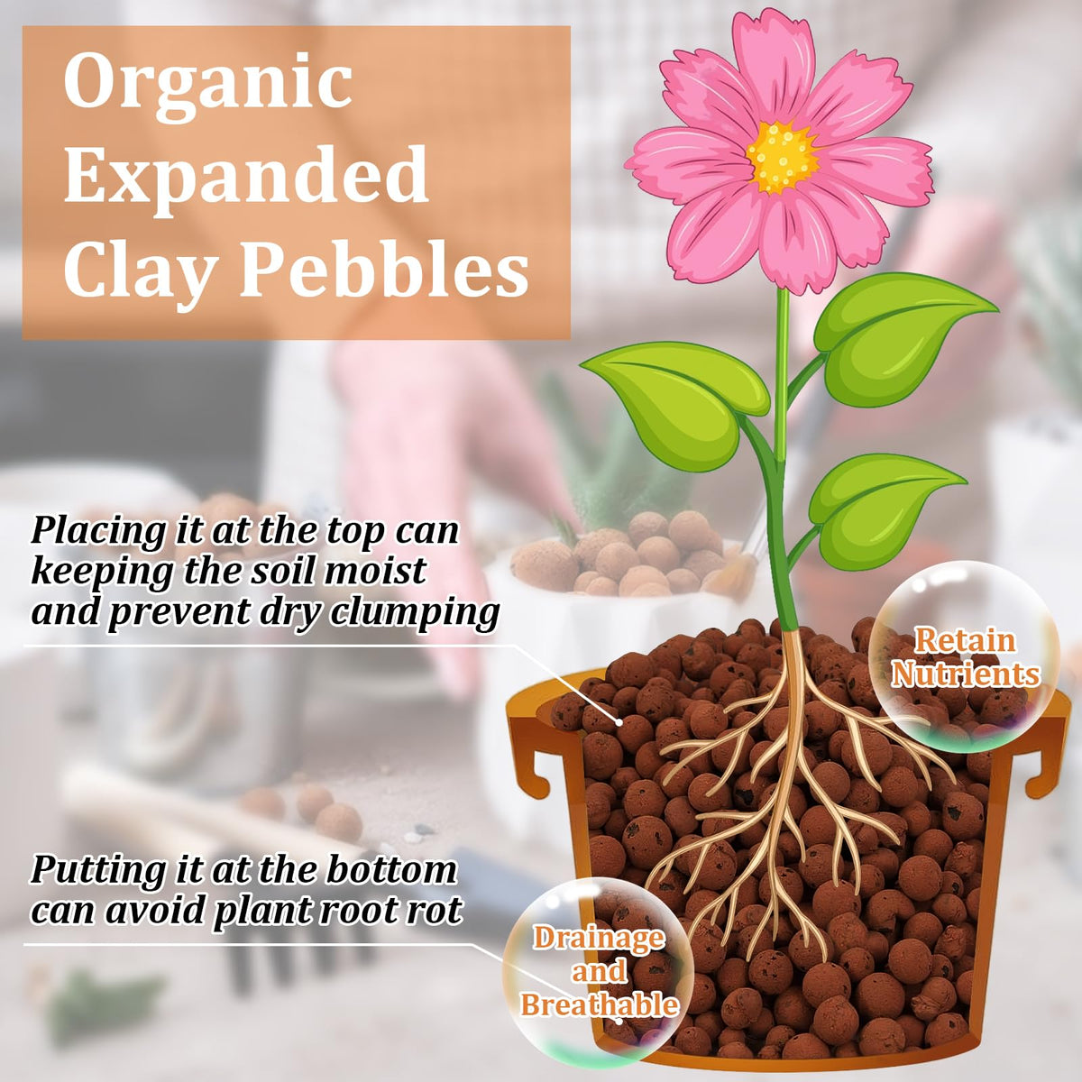 Riare leca pebbles 4-16mm hydroponics setup improves moisture balance and aeration.