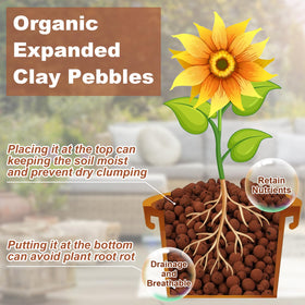 Riare Leca pebbles in pot drainage setup preventing root rot at base