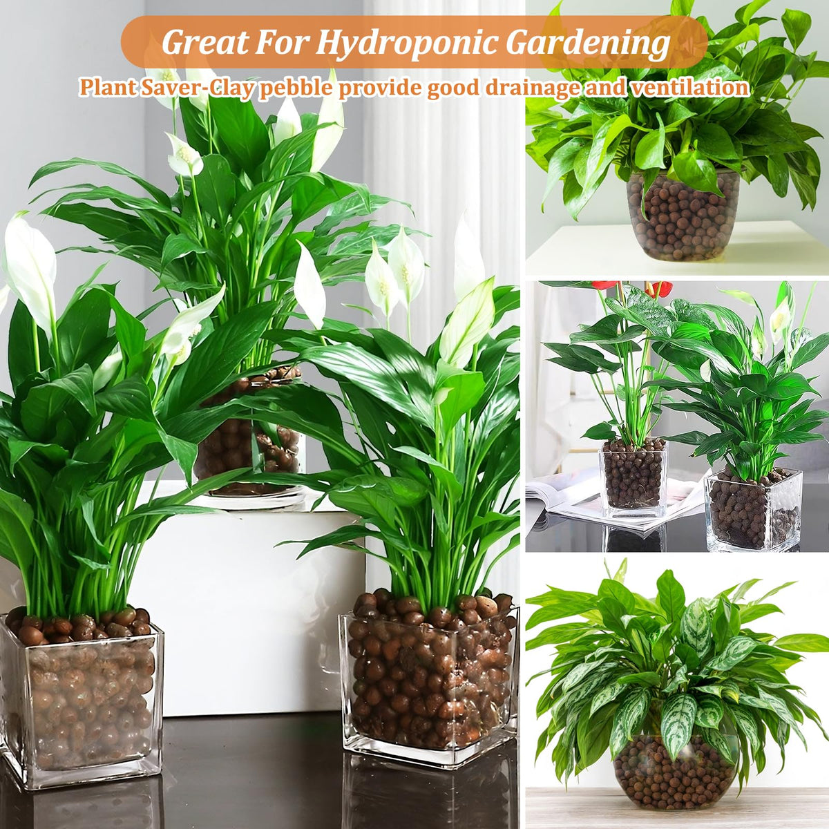 Riare leca pebbles top-dressing decorative-plant-display improves drainage.