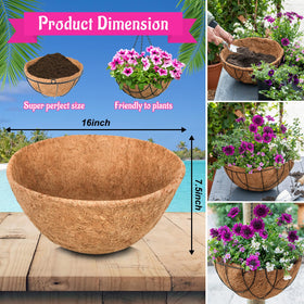 Riare thick coco liner preserves moisture, reducing frequent watering.