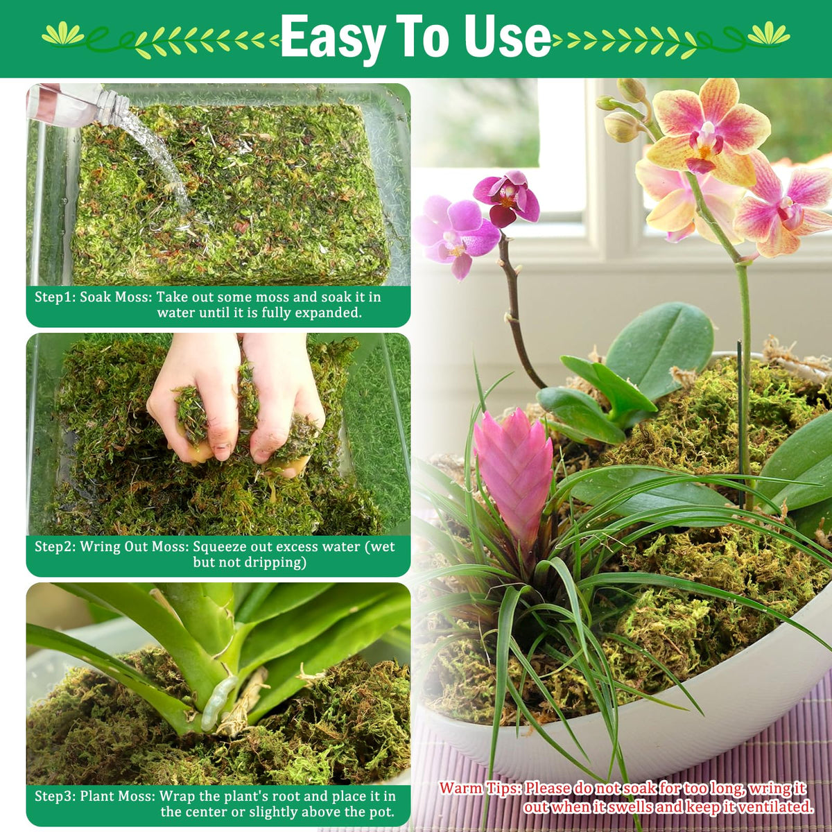 Riare moss for DIY decor natural texture elevates crafts