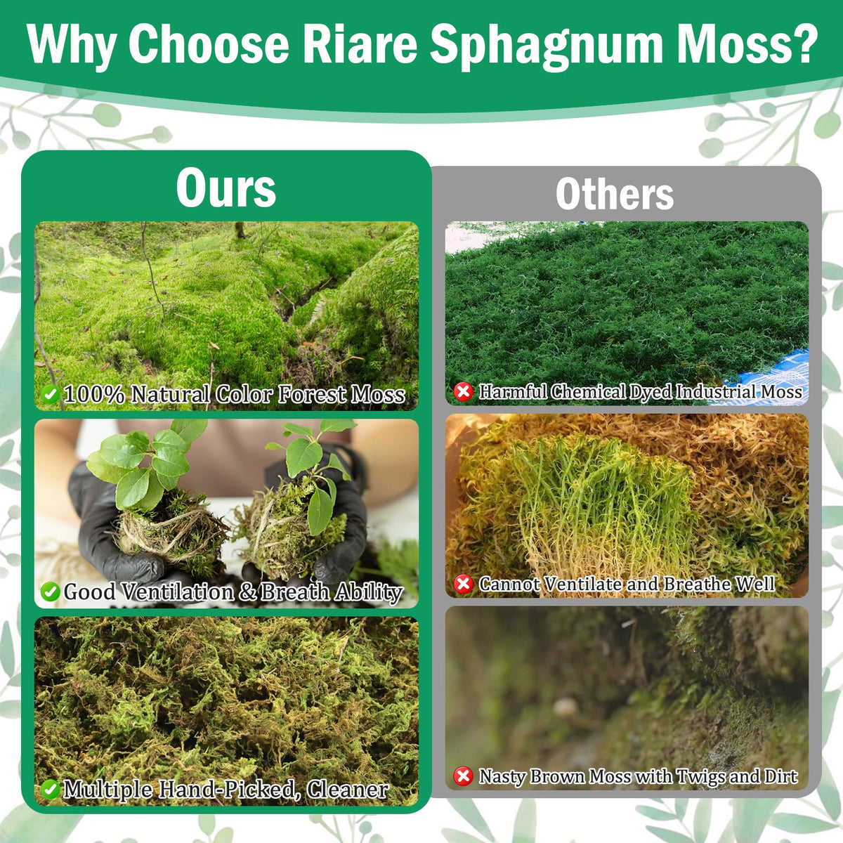 Riare moss orchid drainage-friendly cushion helps roots breathe