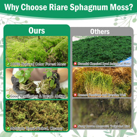 Riare moss orchid drainage-friendly cushion helps roots breathe