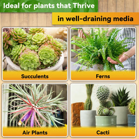 Riare multi-purpose growing medium supports orchids and other moisture-loving plants.