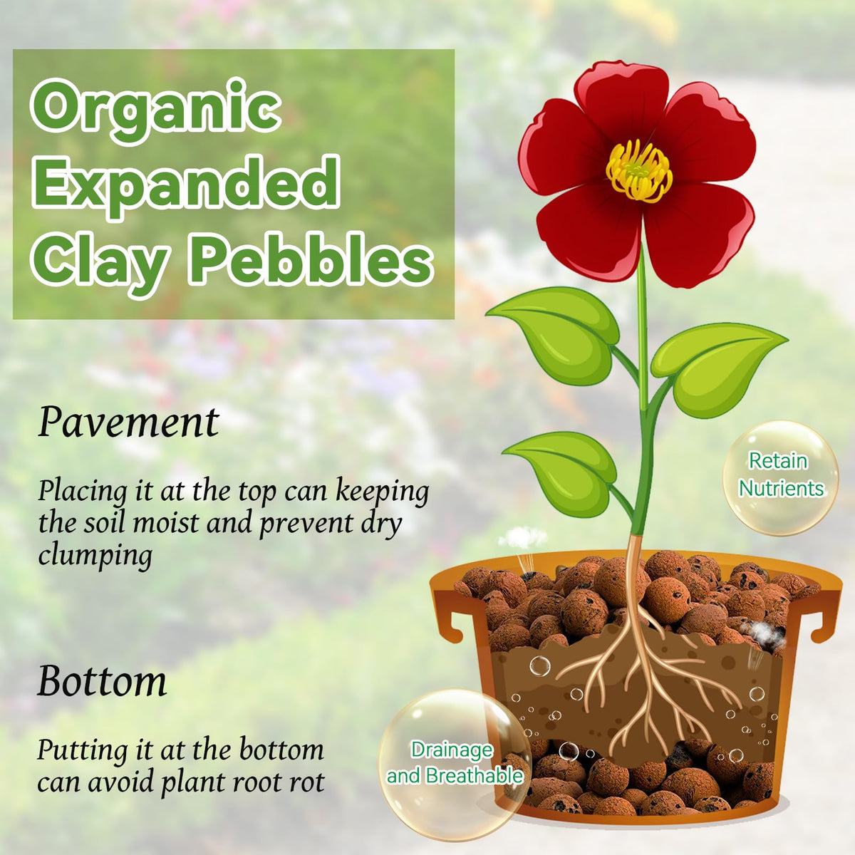 Riare expanded clay pebbles with neutral pH for reliable potting