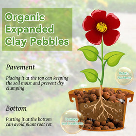 Riare expanded clay pebbles with neutral pH for reliable potting