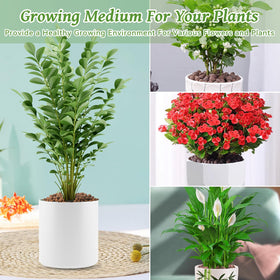 Riare pebbles with orchids and succulents supporting drainage and healthy roots.