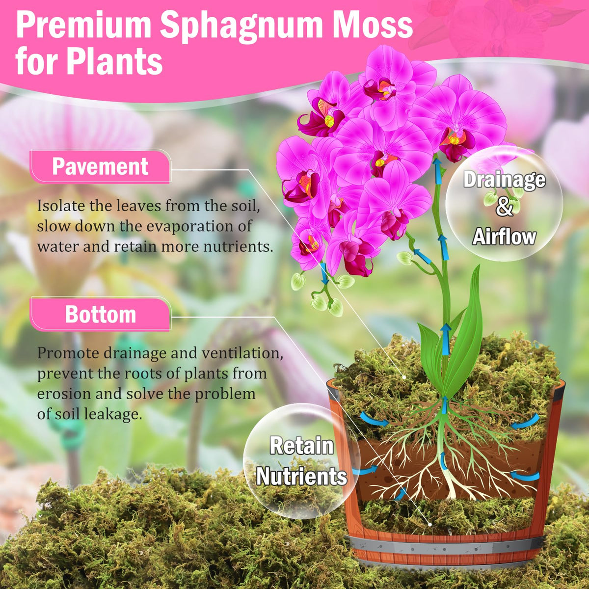 Riare orchid moss for repotting provides drainage-friendly growing medium.