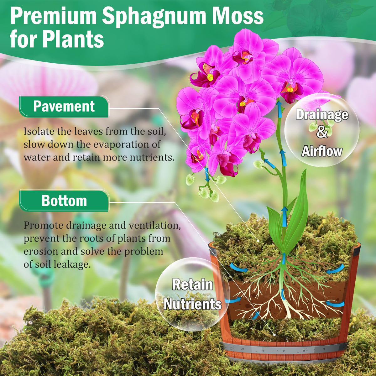 Riare orchid moss soft fluff after soaking supports healthy root airflow