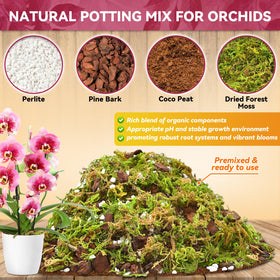Close-up of Riare orchid mix showing moss aiding moisture balance