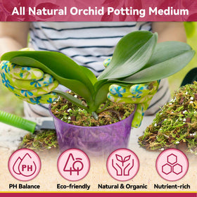 Perlite in Riare orchid mix improves drainage and aeration