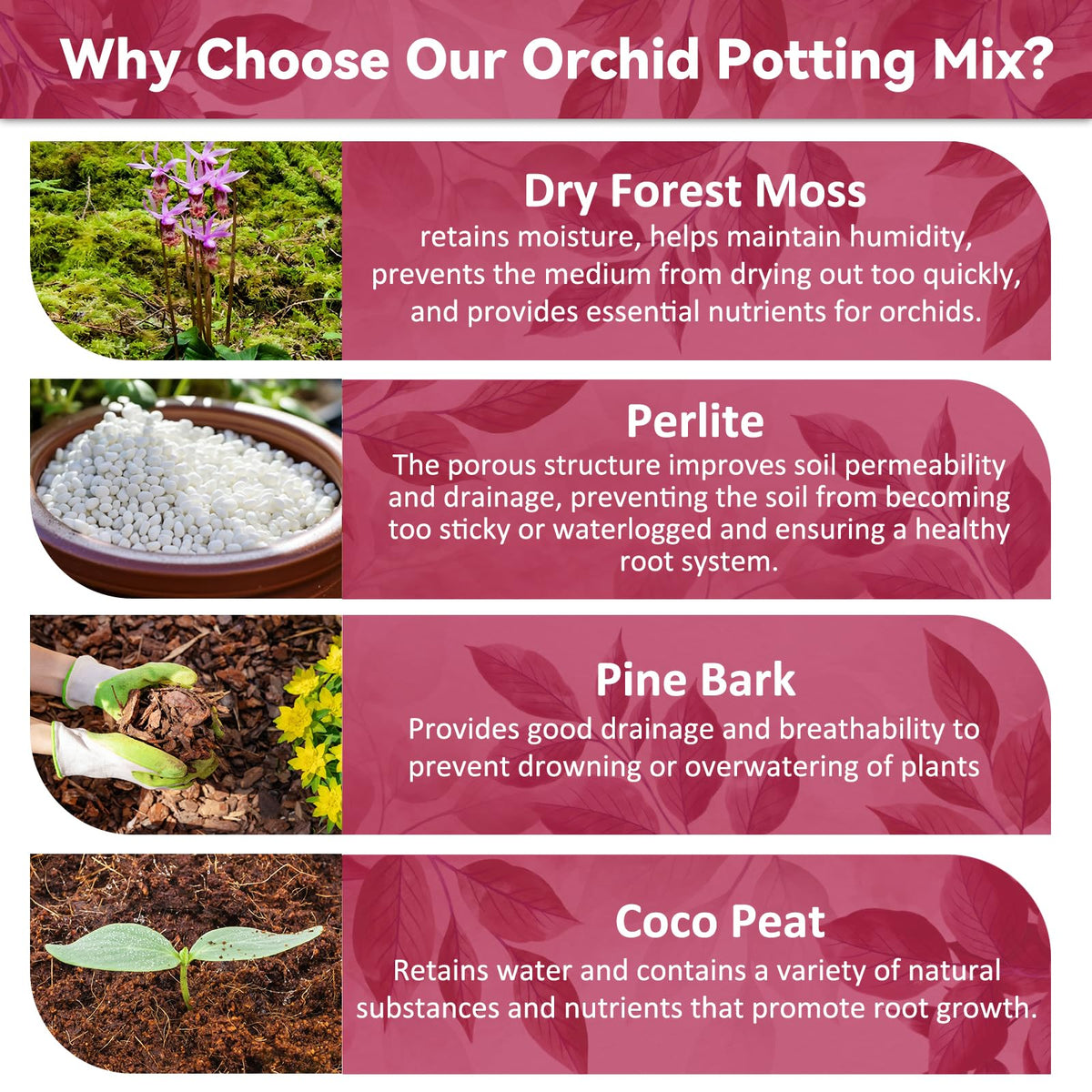 Riare orchid mix with pine bark for better root aeration