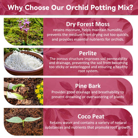 Riare orchid mix with pine bark for better root aeration
