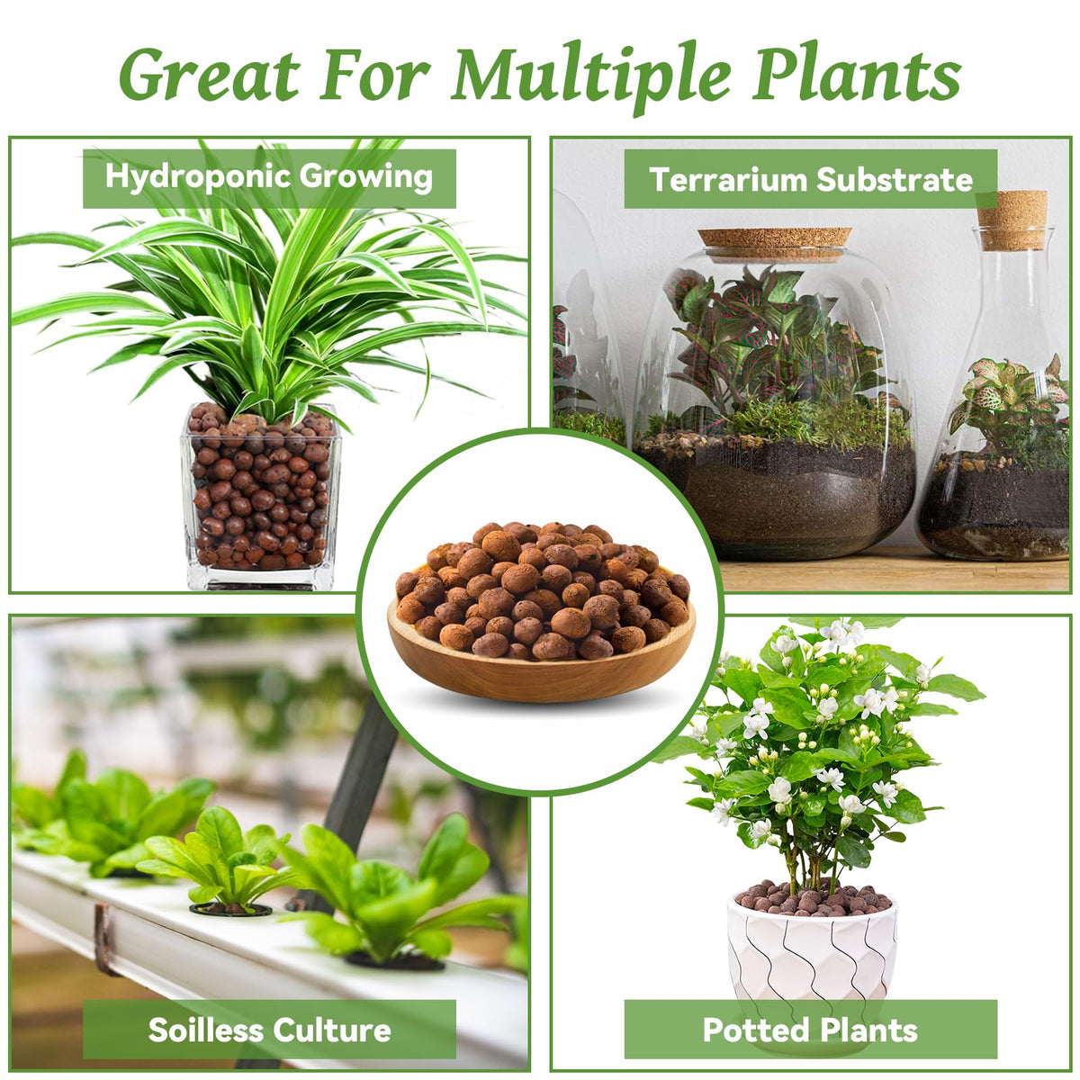 Riare pebbles suitable for orchid, succulent, cactus and hydroponics