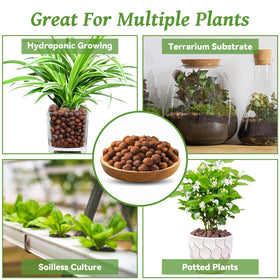 Riare pebbles suitable for orchid, succulent, cactus and hydroponics
