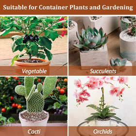 Riare perlite supports cactus and succulent containers with better drainage.