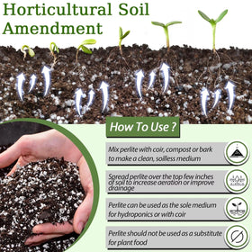 Riare perlite container use enhances drainage and prevents overwatering in pots.