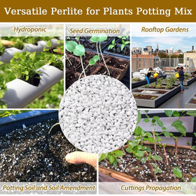 Ideal for tropical plants and orchids that appreciate gentle moisture and drainage.