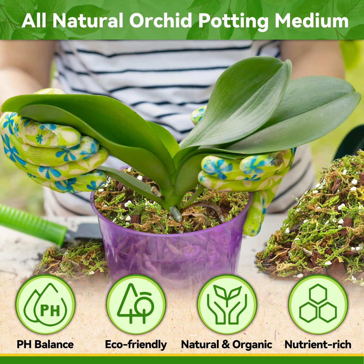 Riare perlite provides drainage and aeration to prevent overwatering.