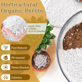 Riare perlite improves drainage and aeration in pots, reducing soil compaction.