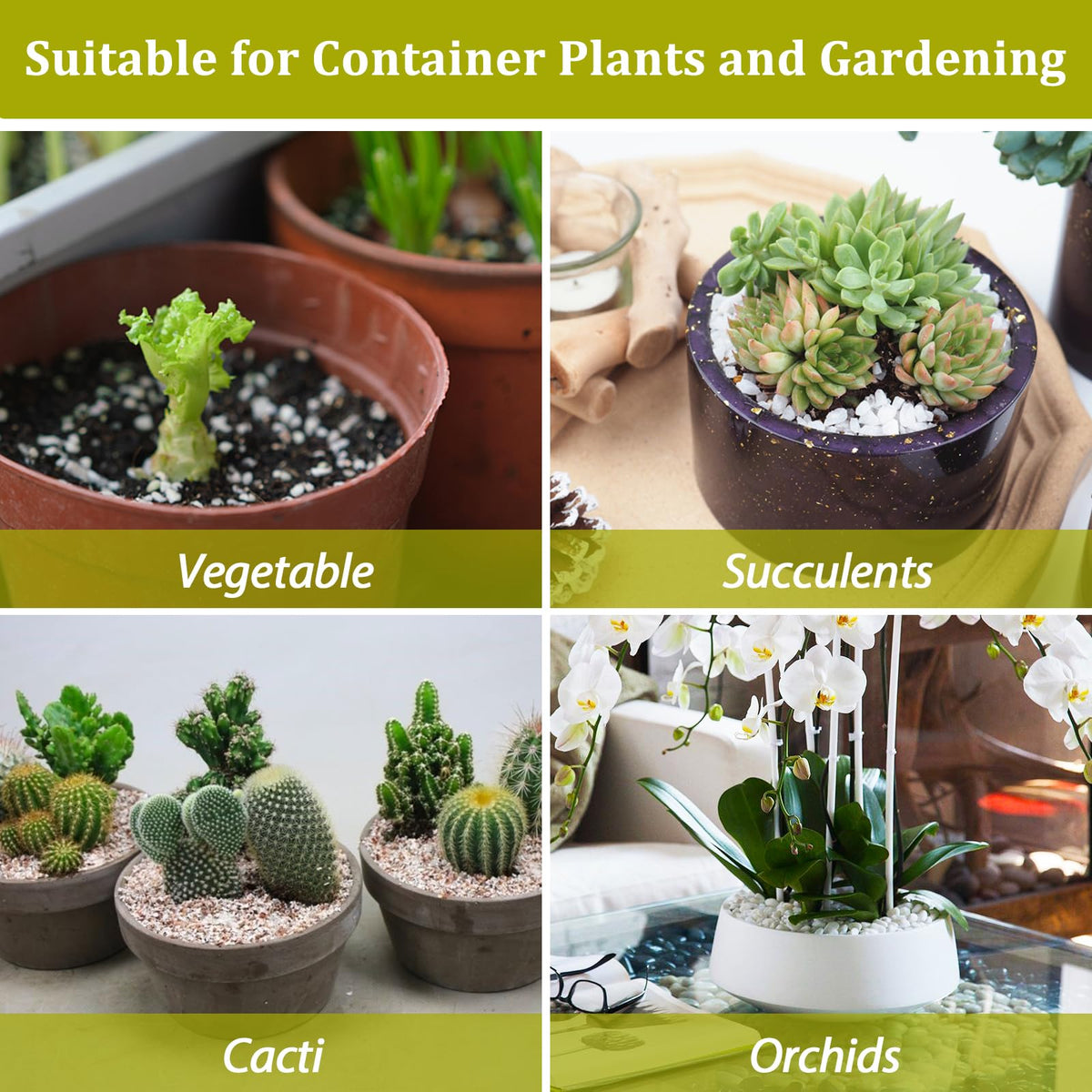 Riare perlite for hydroponics and rooftop gardens improves moisture control