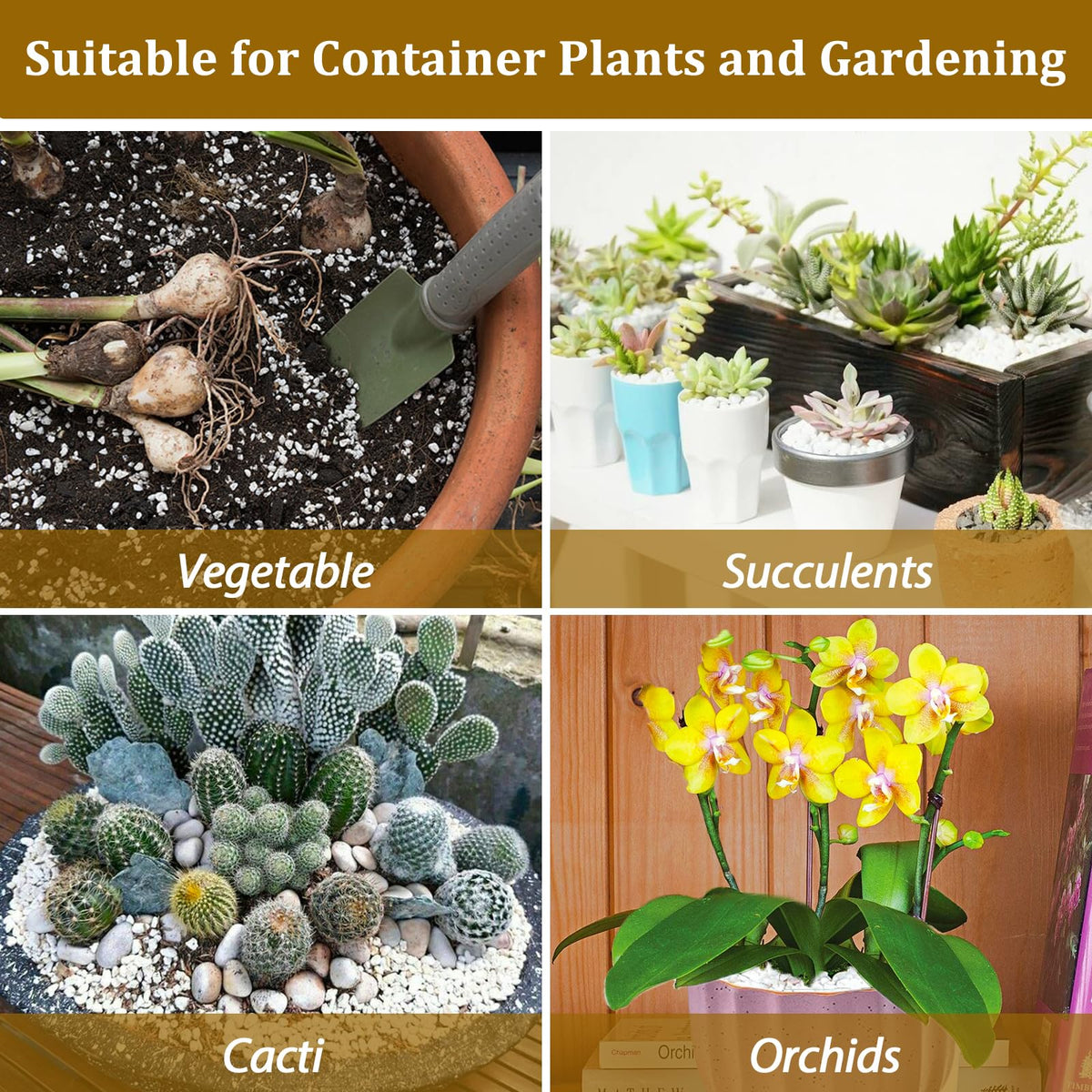 Riare supports seedling propagation, cuttings, hydroponics, rooftop gardens, and container plantings.