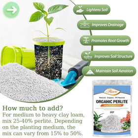 Riare perlite in potting soil mix improves aeration and helps prevent compaction.