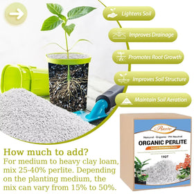 Riare chunky perlite texture in soil amendment improves drainage and air flow