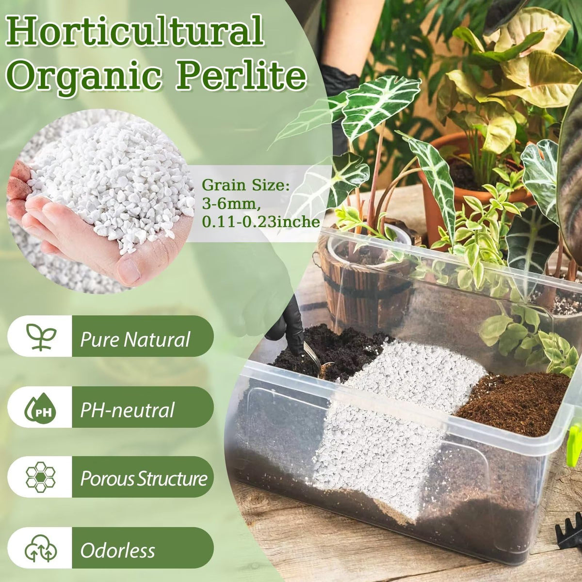 Riare perlite close-up reveals a porous structure ideal for aeration and drainage.