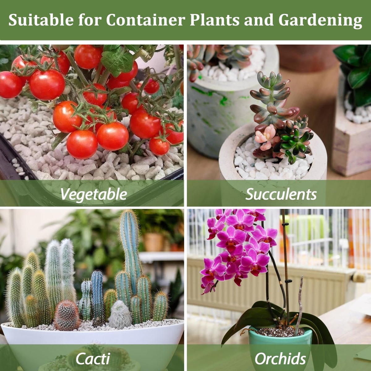 Riare perlite rooftop garden application promotes healthy root growth in limited spaces.