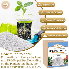Riare 20-quart perlite supports seedling growth by maintaining air pockets and moisture.