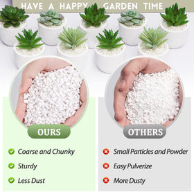 Riare perlite supports seedling propagation by keeping soil airy and well-drained.