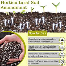 Riare perlite for seedling propagation in an airy mix