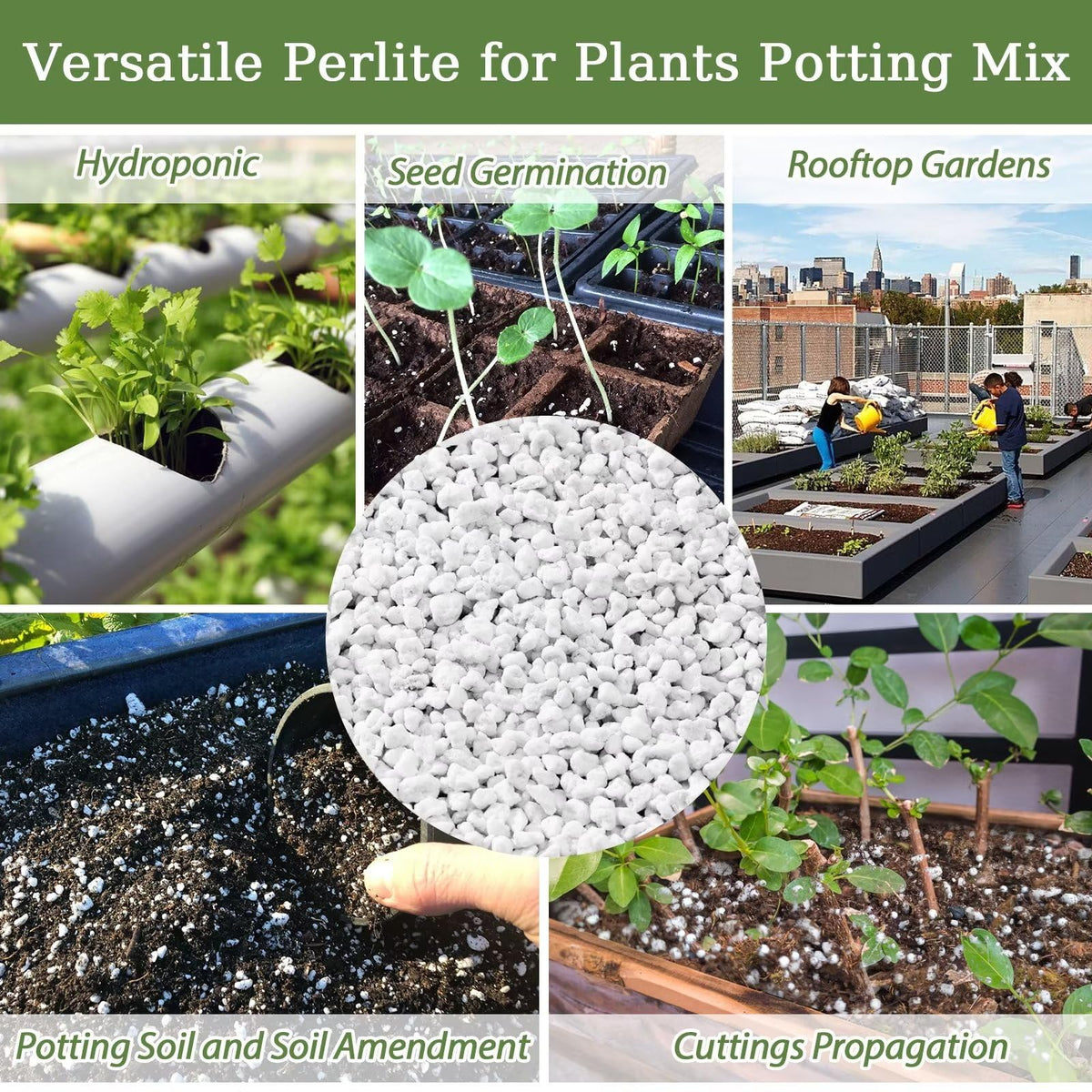 Riare organic perlite supports succulents and cacti with balanced moisture and airy roots.