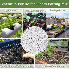Riare organic perlite supports succulents and cacti with balanced moisture and airy roots.