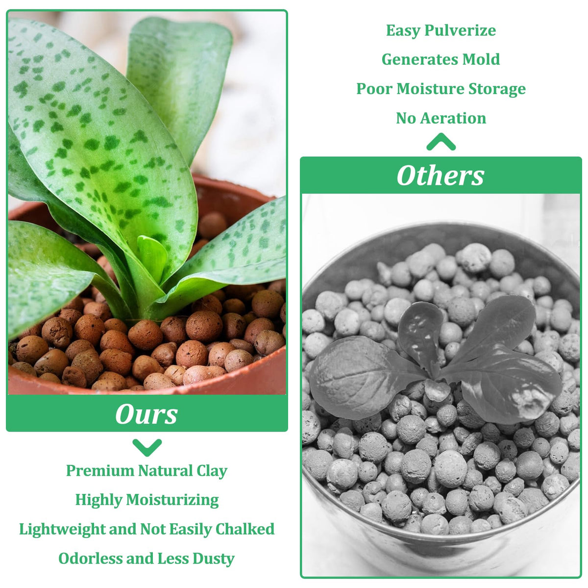 Riare porous grow media absorbs water and nutrients for steady nourishment.