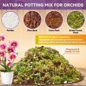 Riare repotting kit with moss, bark, perlite, and coco peat ready to use.