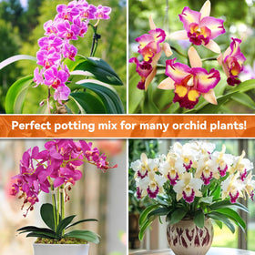 Riare resealable bag open shows easy-to-use orchid potting mix.