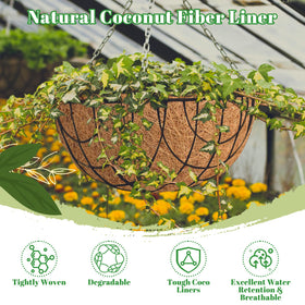 Riare coco liner resize and cut to fit baskets or pots.