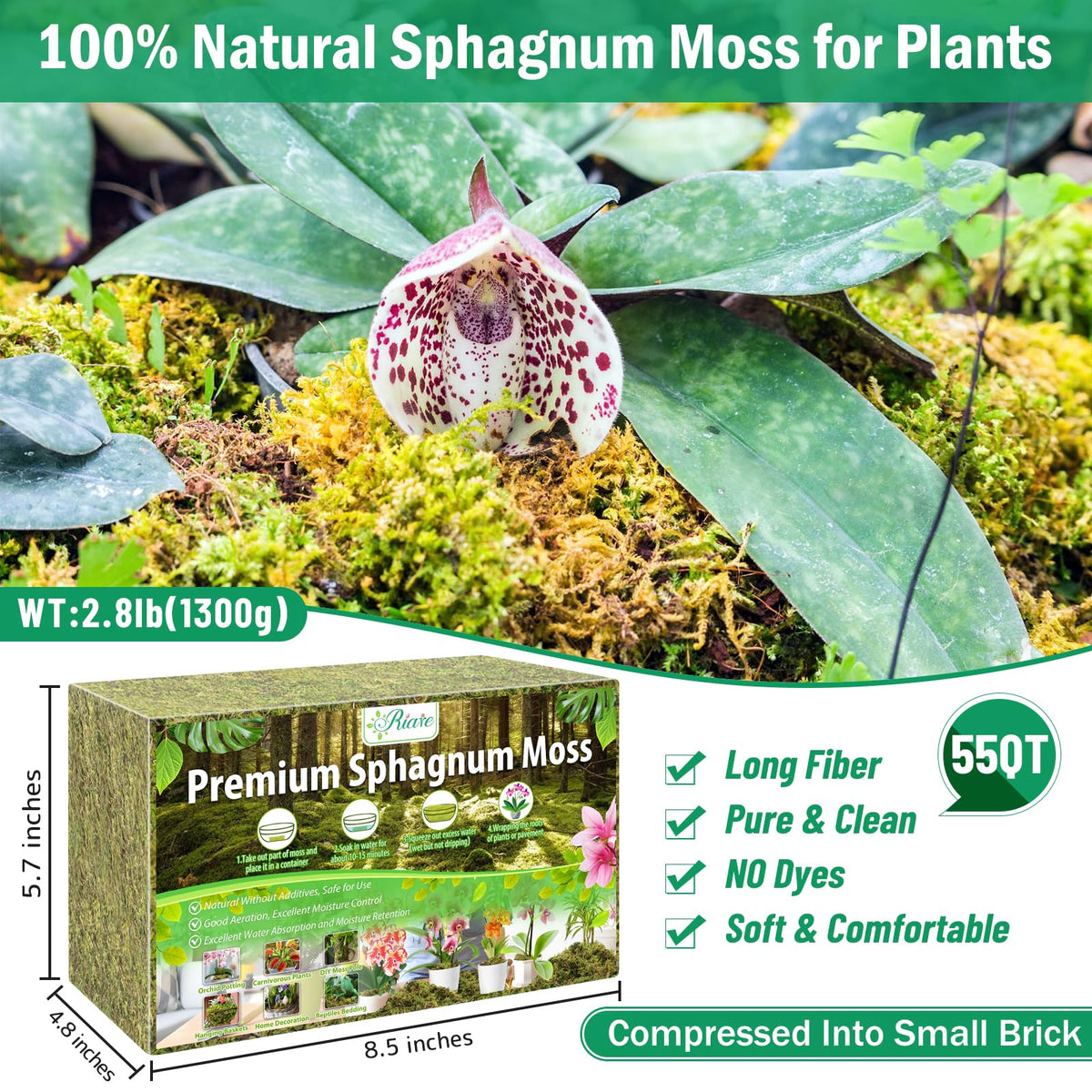 Riare expanded sphagnum moss after soaking reaches 55 quarts for ample coverage
