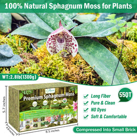 Riare expanded sphagnum moss after soaking reaches 55 quarts for ample coverage
